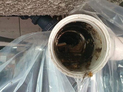 청주시 흥덕구 하수구막힘 배관 점검 도구를 정리하는 작업 장면