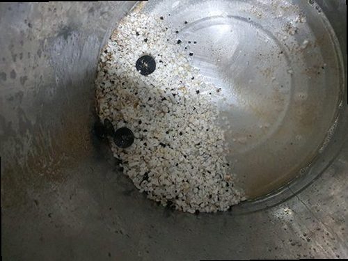 청주시 흥덕구 가경동 하수구막힘 배수구 주변 상태와 배관 점검 위치를 확인하는 현장